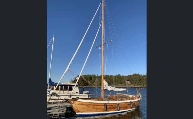 Scylla Scylla-kuva-4